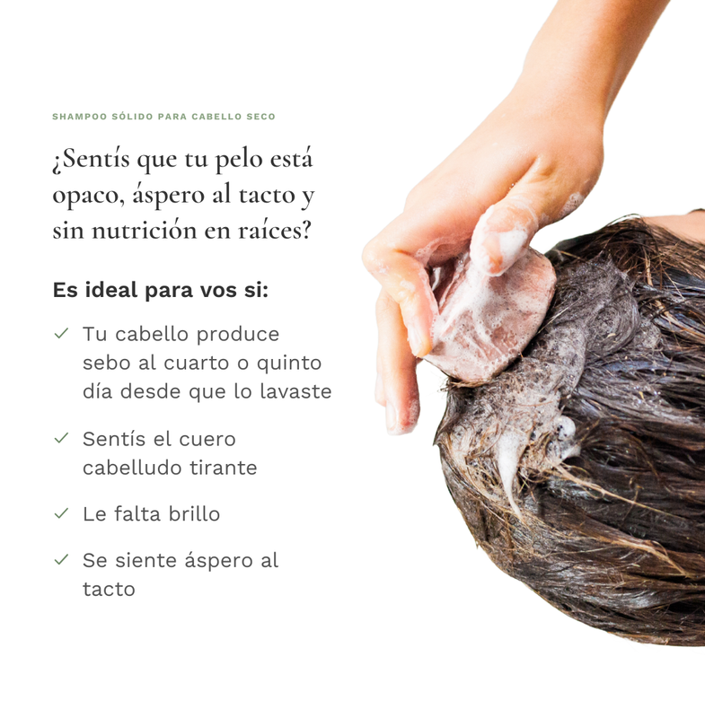 Shampoo s&oacute;lido para cabello seco &mdash; &iquest;es ideal para vos?
