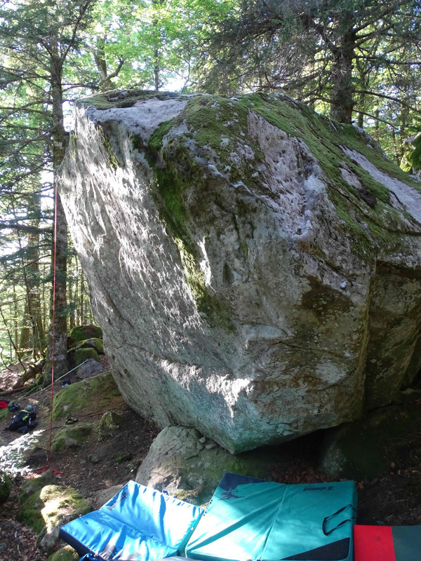 Nettoyage de La Grosse Île