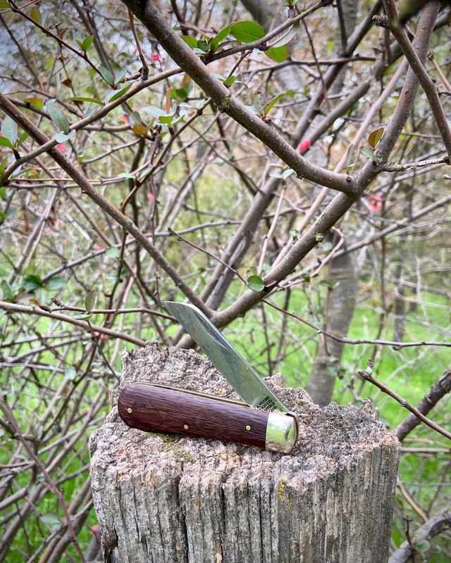 EE8BD71C-EB5F-4C65-8257-01DF73AD6055