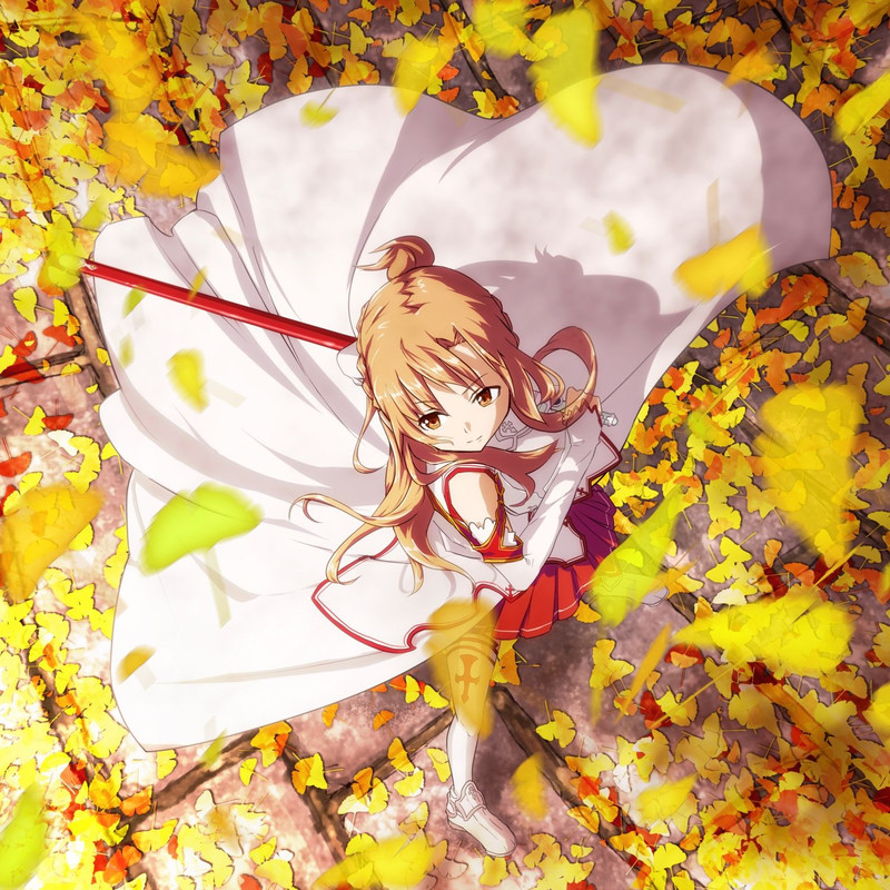 asuna-sword-art-online-drawn-by-tera-l-023ff56b427abc38ba2075b03ef2e4d9-1
