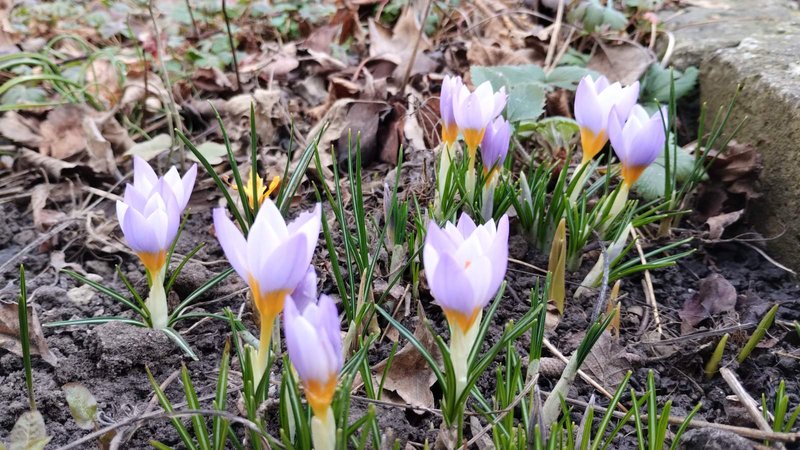 изображение_viber_2024-02-14_11-34-57-956