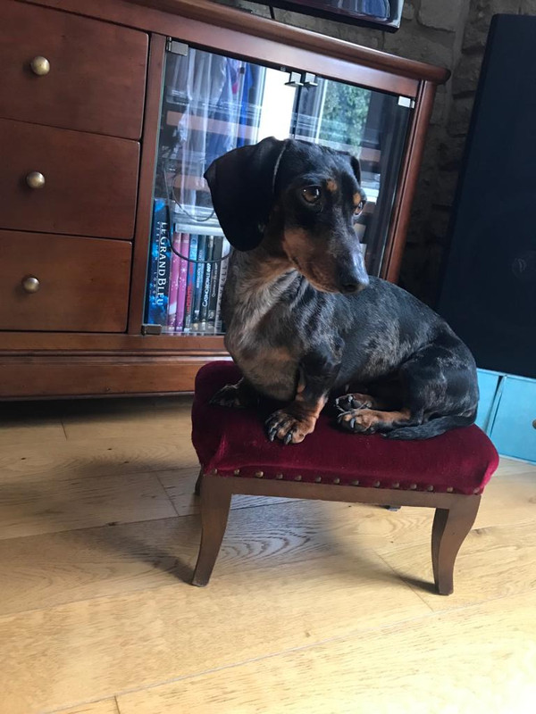 [Image: IMG-20230326-WA0008.jpg]