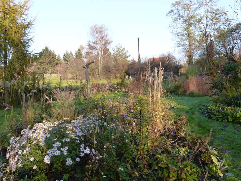 2014-11-07 Gräserbeet 3