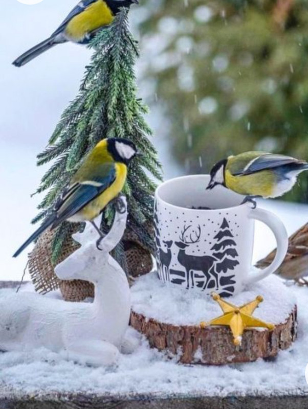 Screenshot_20230127_001846_Chrome