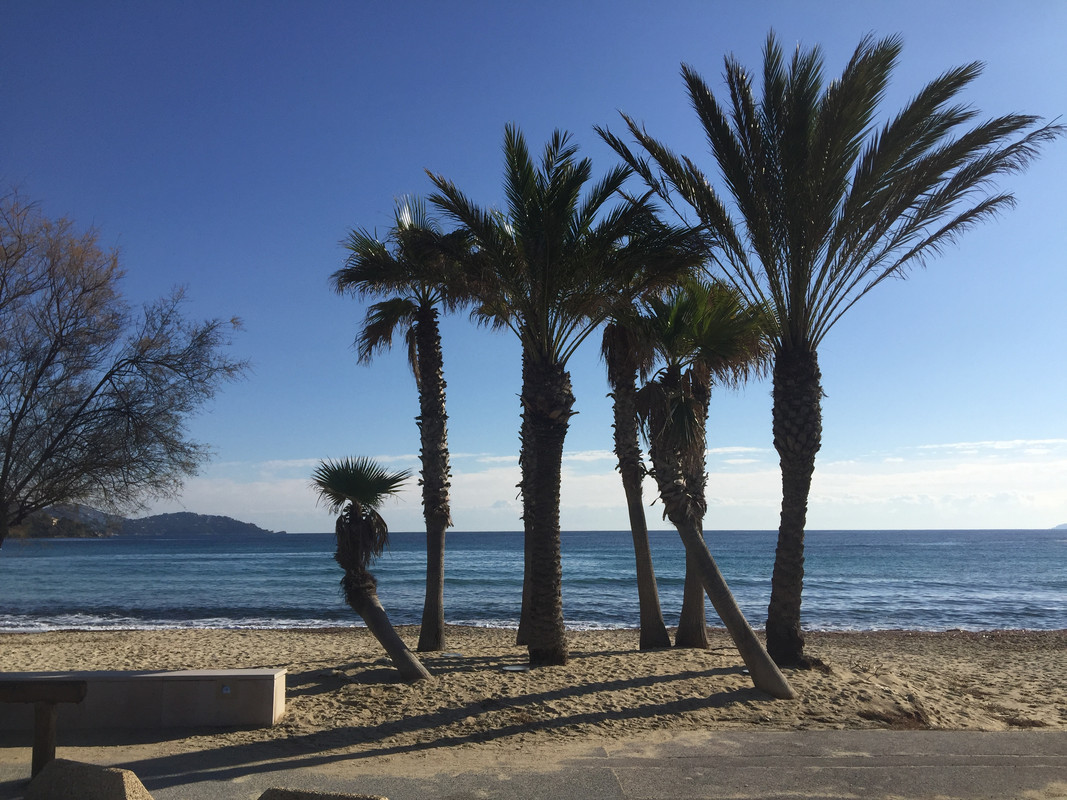 DE9C9621-7152-4178-902F-6B18E3B0EF43