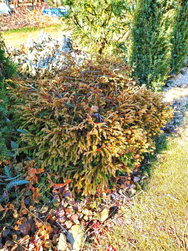 IMG-a2f1e6a438cb5bf0a6027f1cd0de1391-V~2