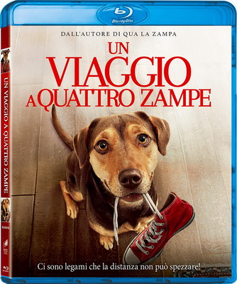 Un Viaggio A Quattro Zampe (2019) .mkv iTA-ENG Bluray 1080p x264