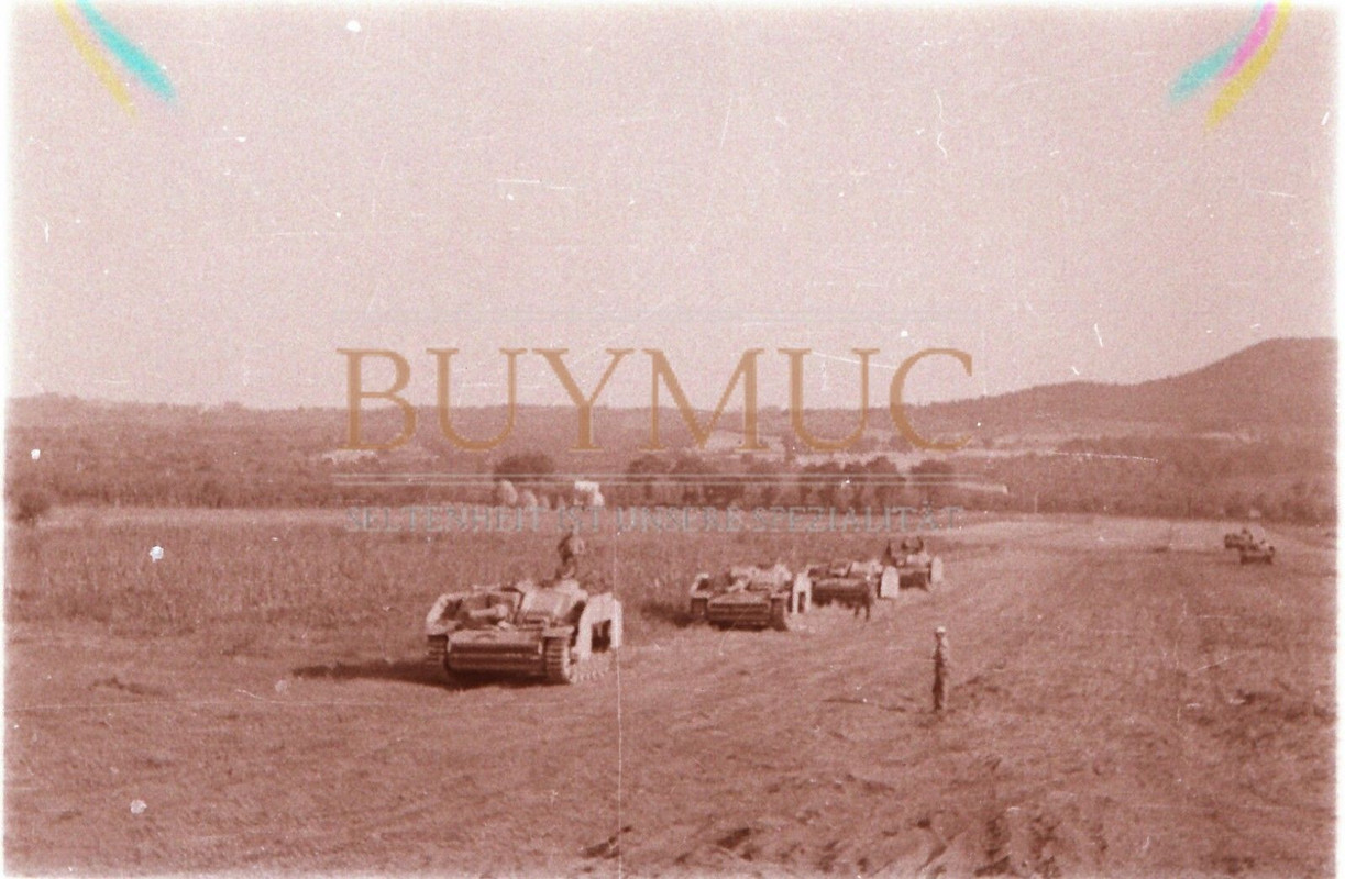 Sturmgeschütz Langrohr Italien Panzer Abteilung 115 Südfront
