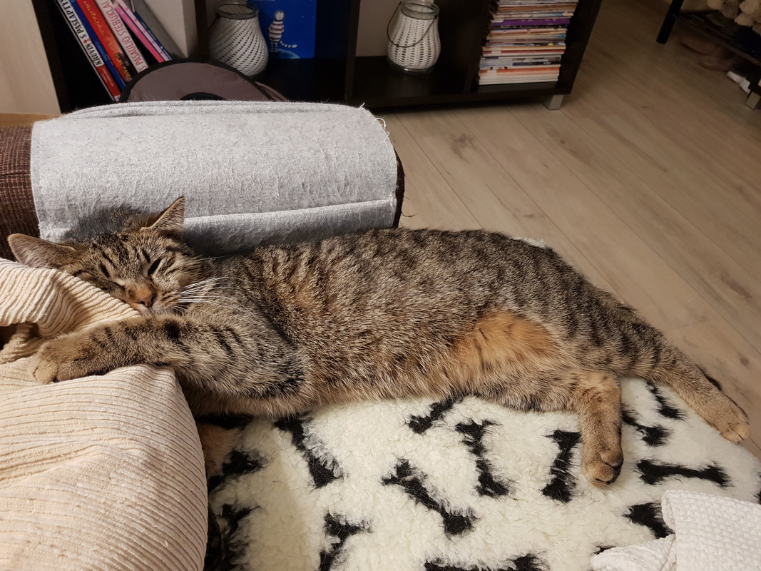 20190219-220334.jpg