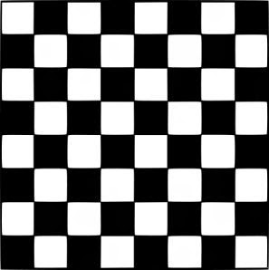 Counting-Squares-IAS-Question-790.jpg