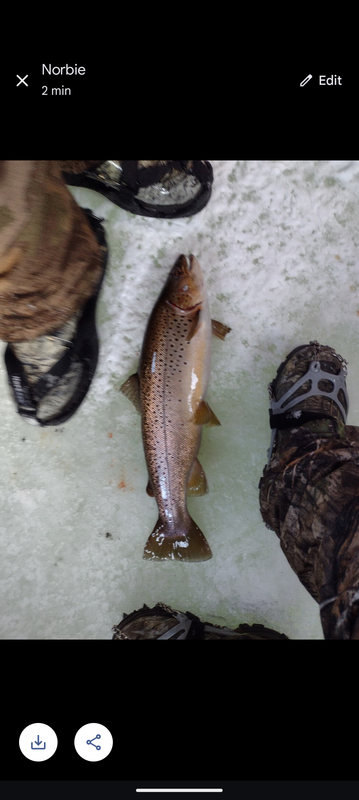 Screenshot_20250222-095915