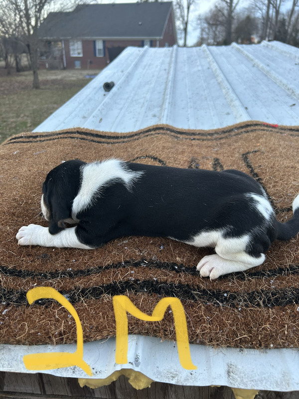 B08515D9-BA41-455F-BE35-79A82F382700