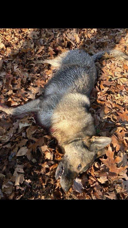 FE4741C2-378C-4046-9667-2FB6B4939CFC