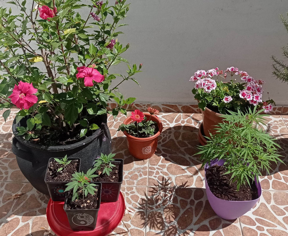 320397290_1308576773317520_5369852002767326421_n