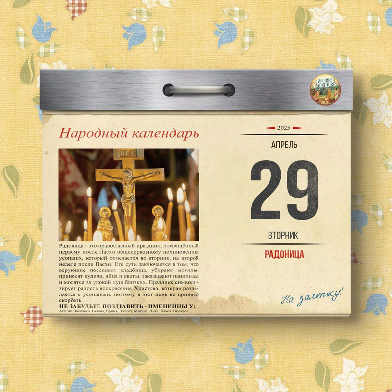 [Изображение: photo-2025-04-29-08-19-50.jpg]