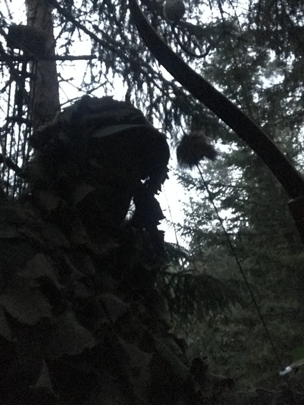 6AC00FE5-02B4-487A-AD72-DE62D3ABD8AD