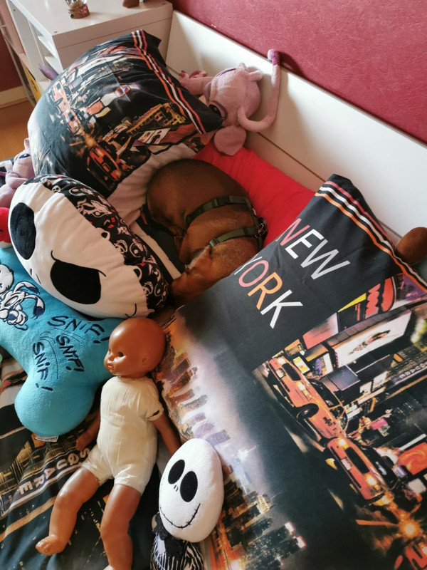 [Image: image000000-245.jpg]