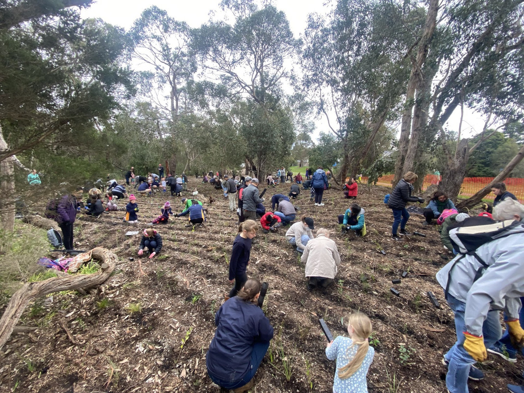 Tree Planting Day