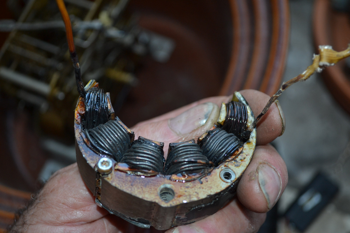 Alton du Claudet Véloce