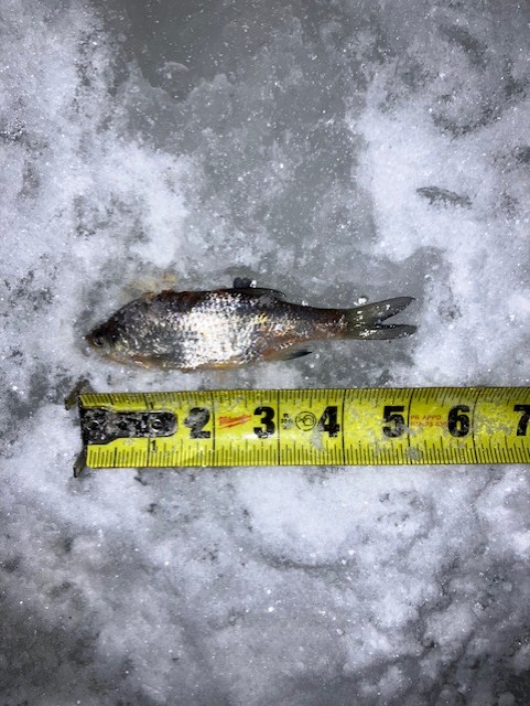 9d6d61c2 fc14 4647 aeeb 3558fa614733