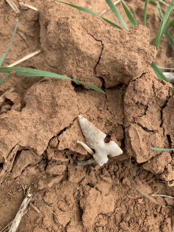 FAF2F87D-6928-4F11-A056-A35B76A2053C