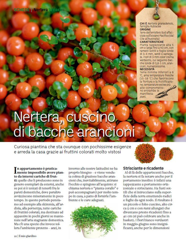 Il Mio Giar Ott-Nov 2023 (3)