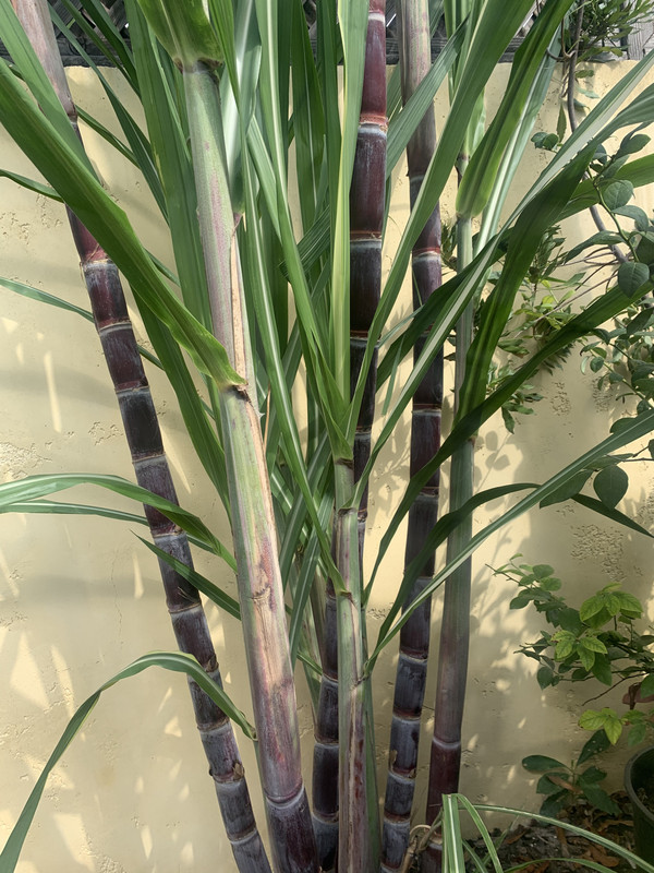 6E5F0909-6A10-44A5-A58D-6F293F5B4849