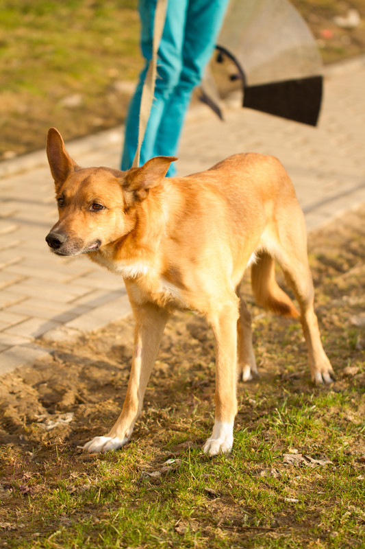 без имени-5353