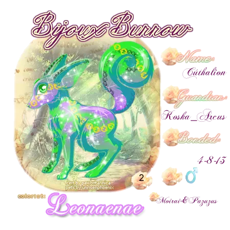 User Image