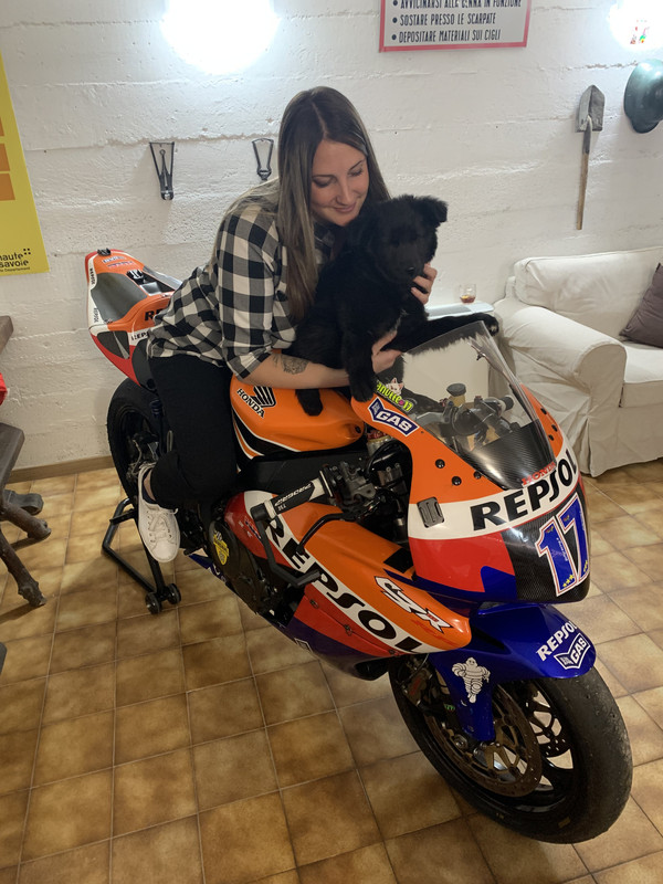 DE11C7B7-A5A1-45F0-B13C-D6ED5B1307FC