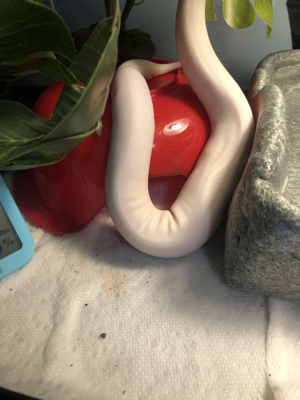 FA7EF4DE-69BA-43B3-8A06-2C9B775DC38C