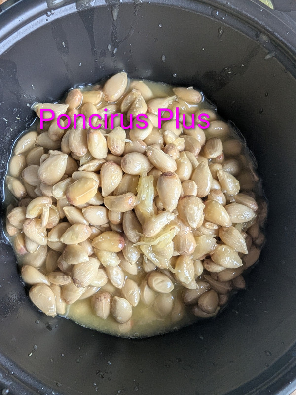 PXL 20251121 155014009 2