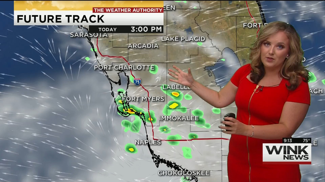 23 May - 14.00.00 - WINK News @ 9 00AM..ts_snapshot_00.18.02_[2020.05.23_17.13.00]