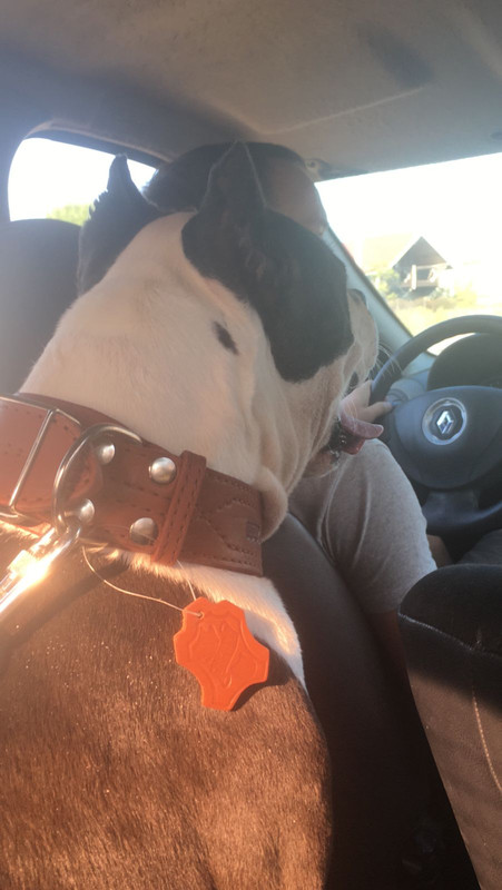 AF64D154-6B42-42B0-B45E-47343D24016A