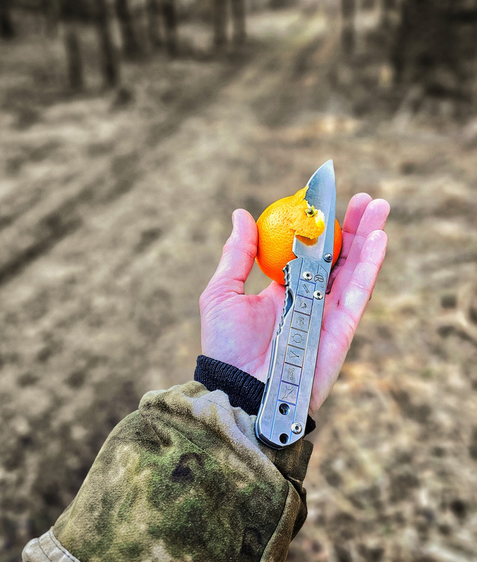 20250323_173216 (1) (1)