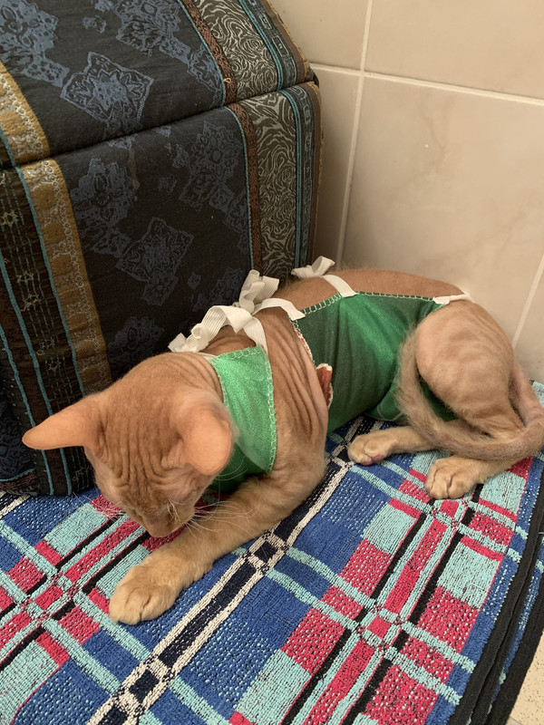 F4447751-B273-4FDD-8B86-326D1D9D7A68