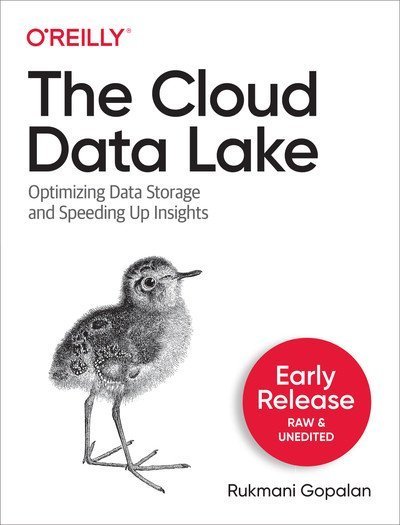 The Cloud Data Lake (Fourth Early Release)