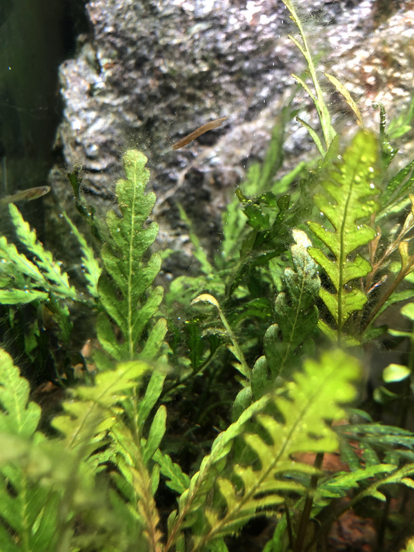 568450CD-78AA-4E31-85D3-065365E1578A