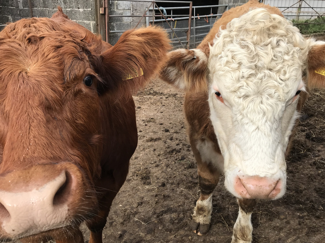 4E53B76A-5B5B-4870-8F59-43B0EE4BD85F