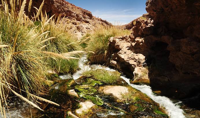 Trekking de Purilibre