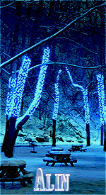Alin-00000.gif