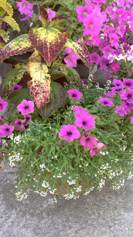 20120114_233411