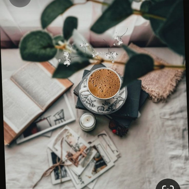 Screenshot_20230616_141124_Pinterest