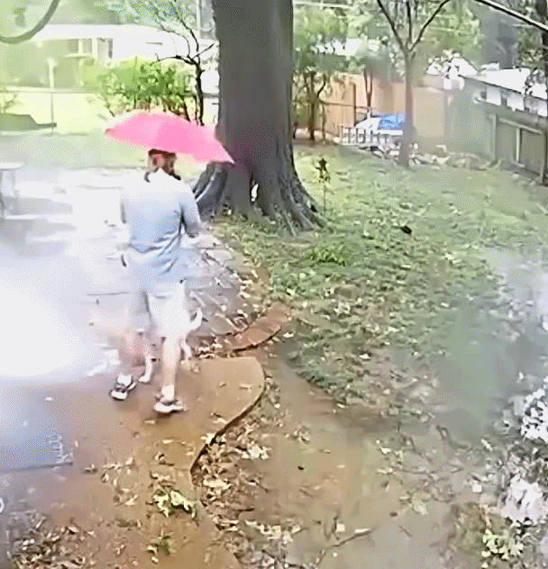 25.gif