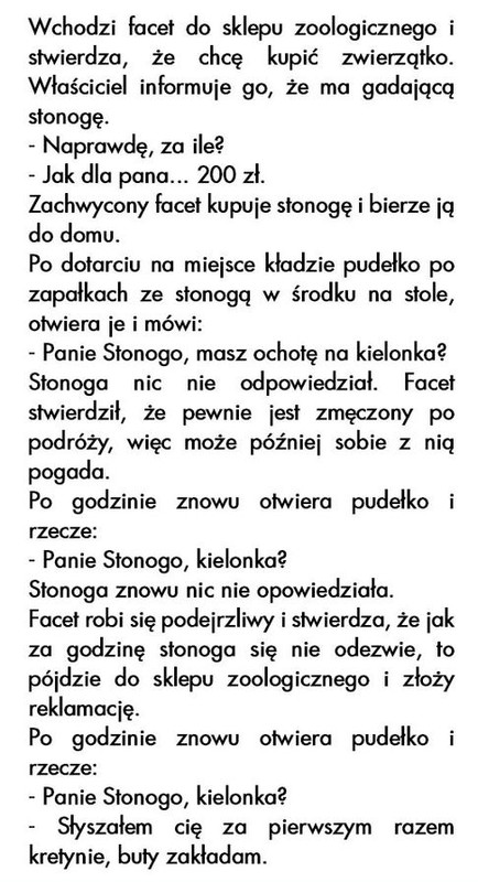 humor.jpg