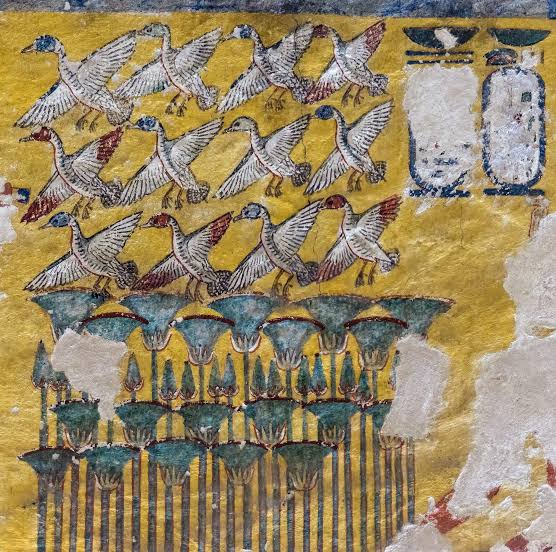 Ленивый Египет (Хургада, Луксор, Каир), декабрь 2025 - январь 2026