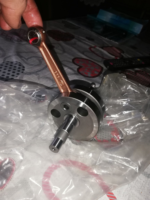 164034782_455989522381559_4539019767433830927_n (1)