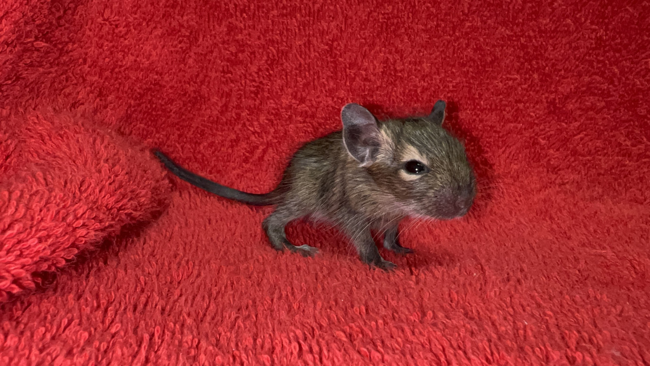 416CF14F-27F8-4EDD-B412-387A37F589F0