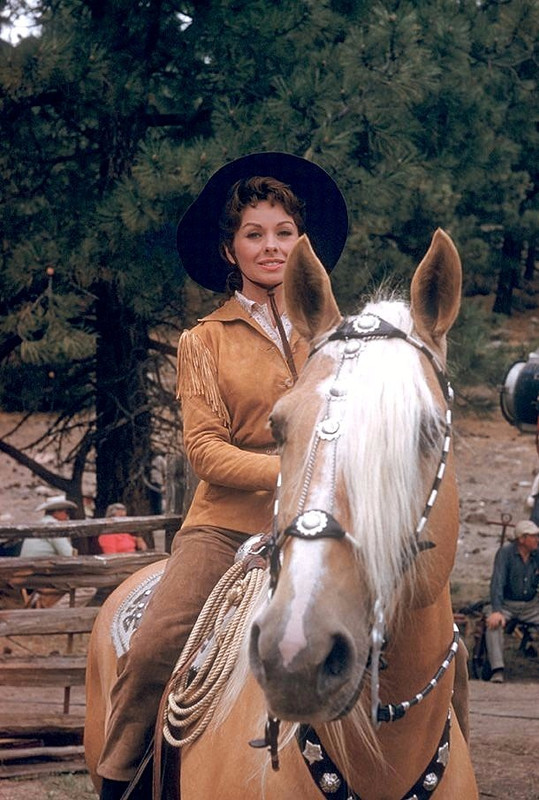 Tonnerre sur Timberland Guns of the Timberland Robert D. b