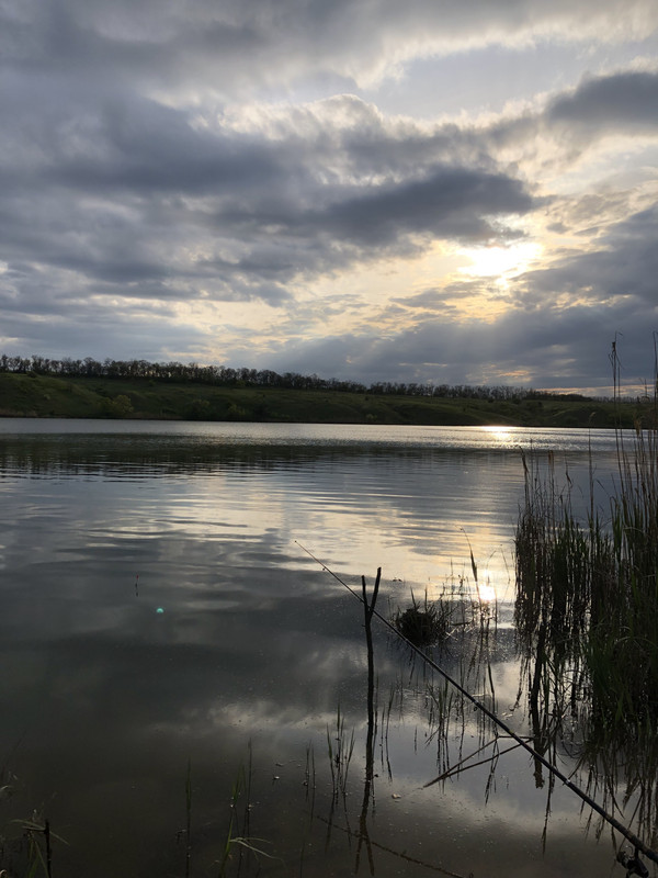 005C412E-030D-49F4-96B3-3B3BF0BB7767